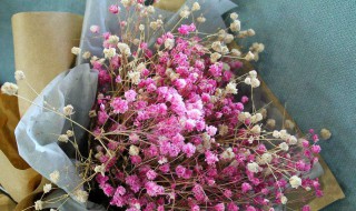 干花做了怎么保存（干花制作完成后怎么保存）