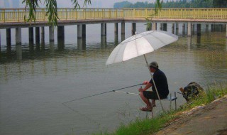 路边钓鱼技巧