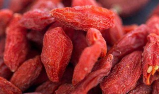 干燥的枸杞怎么保存（干燥的枸杞怎么保存不会坏）