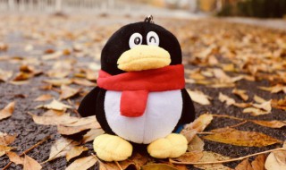 好看的qq个性签名（好看的qq个性签名带图案）