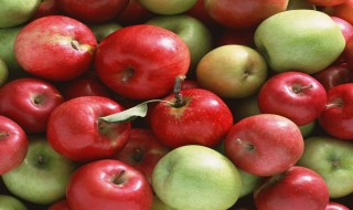 绿色食品的标准是什么 我国绿色食品的标准是什么