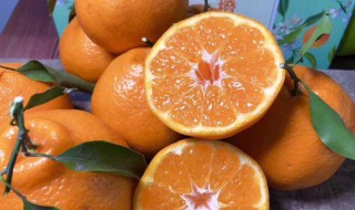 丑八橘和粑粑柑一样吗（丑八怪橘子和粑粑柑的区别）
