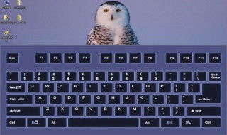 如何盲打 如何盲打键盘