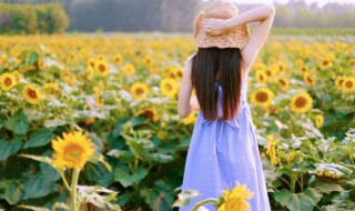 一晃就老了金典句子（一晃就老了金典句子精选推荐）