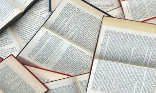 执着的句子（对感情执着的句子）