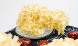 白木耳发黄还能吃吗（白木耳发黄还能吃吗百度百科）