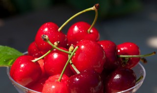 吃羊肉能吃樱桃吗 吃羊肉能吃樱桃吗百度百科