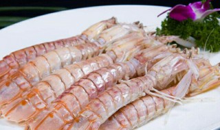 如何清洗皮皮虾