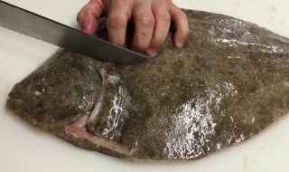 多宝鱼如何清洗 多宝鱼如何清洗如何制作