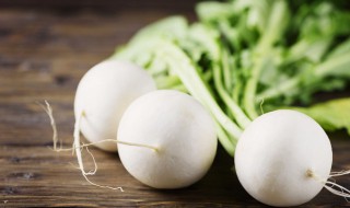 青萝卜的种植方法和时间（青萝卜的种植方法和时间图片）