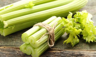 芹菜夏天高温种植方法 芹菜夏天高温种植方法是什么