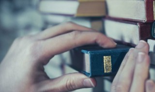 什么是网格化管理（什么是网格化管理服务）