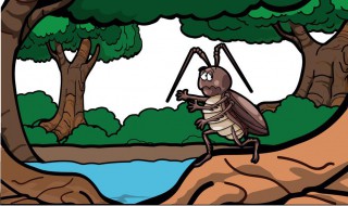 抖音灭蟑螂方法 抖音去蟑螂的妙方视频