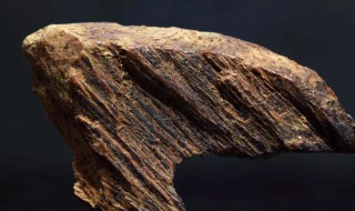 沉香木的鉴别方法 沉香木的鉴别方法博客