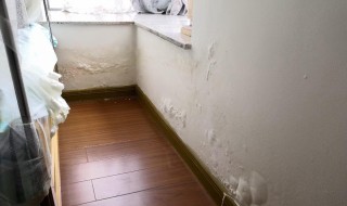 墙壁漏水怎么办最简单补救方法（墙壁漏水怎么办最简单补救方法图解）