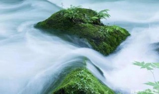 人的修行最高境界句子（人生修行经典句子）