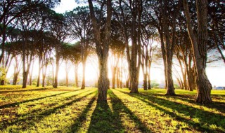 生活中太多无奈的句子 生活中太多无奈的句子说说心情