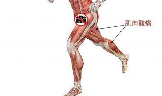 如何做筋膜康复 如何做筋膜康复训练视频