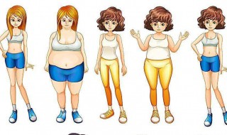 不吃可以减肥吗（晚上饭不吃可以减肥吗）