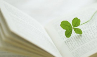 充满正能量的句子（工作充满正能量的句子）