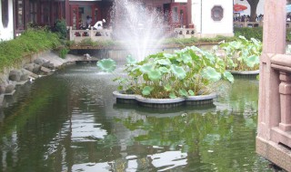 水肥起泡沫怎么处理 水肥起泡沫怎么处理掉