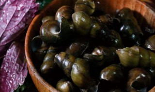 螺去沙的方法（螺去沙泥的方法）