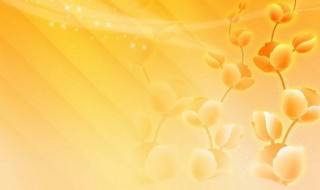 橙色有什么寓意么 橙色有什么寓意么英语