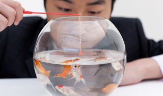 绑鱼嘴的方法（鱼嘴系法）