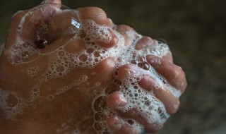 洗手正确的方法（洗手正确的方法是）