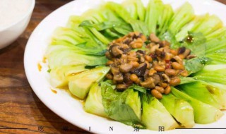 炒青菜保持绿的方法（炒青菜保持绿色方法）