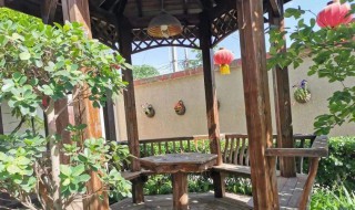 庭院驱鸟的方法 怎样驱赶院子里的鸟