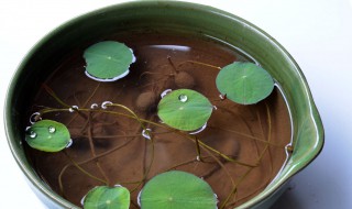 怎样做荷花的营养液（怎样做荷花的营养液呢）