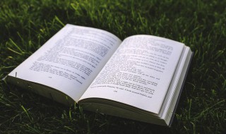 朋友圈晒娃经典语句（朋友圈晒娃经典语句儿子）