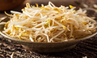 豆芽的自制方法（豆芽的自制方法介绍）