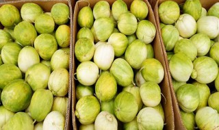 香瓜的贮存方法（香瓜的储存方法）