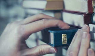 信佛的人有什么讲究（信佛的人是什么）