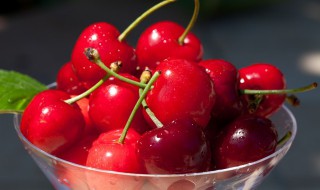 嫁接樱桃的几种方法 嫁接樱桃的几种方法视频