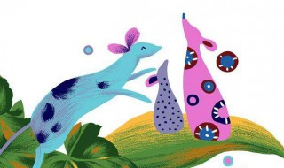 怎么处理老鼠爬过的痕迹 怎么处理老鼠爬过的痕迹视频