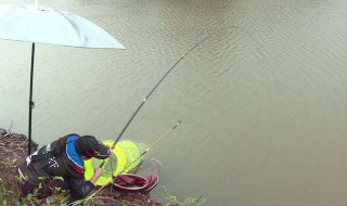 秋分钓鱼技巧（秋分如何钓鱼）