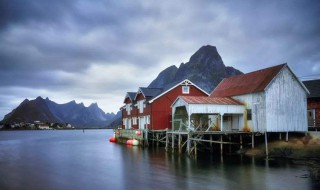 手机自己拍怎么拍好的照片（手机自己拍怎么拍好的照片清晰）