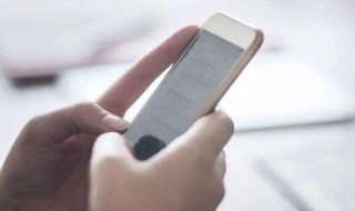 肥宅是指什么 肥宅是指什么动物