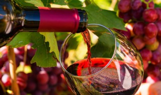 红酒的知识 红酒的知识大全的书