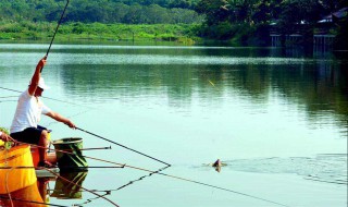 用什么可以钓大鱼 用什么可以钓大鱼呢