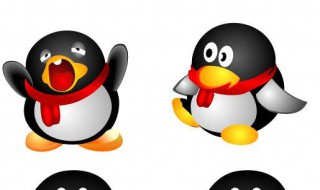 怎样看qq特别关心了我（怎样看qq特别关心了我的人）