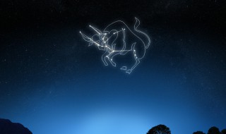 金牛男喜欢的四种女人（金牛男痴迷哪种女人）