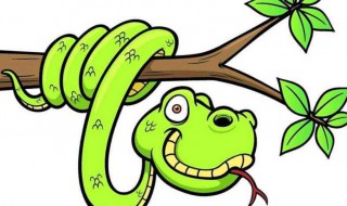 女人梦见被蛇咬 女人梦见被蛇咬了是什么意思