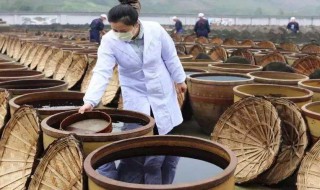 醋吃多了会怎么样（醋吃多了会怎么样?）