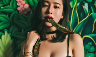 绿茶女什么意思 绿茶女什么意思暗语