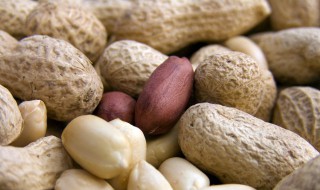 为什么叫落花生（花生为什么叫落花生）