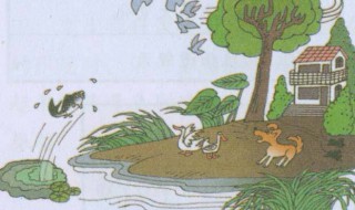 地震前有哪些异常征兆（地震前有哪些异常征兆动物）